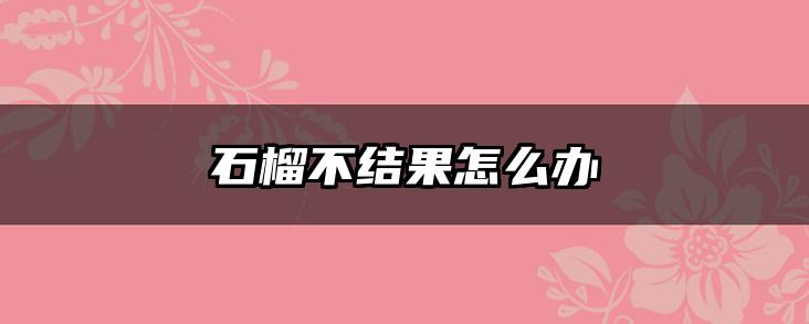 石榴不结果怎么办