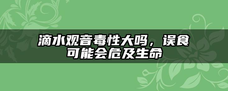 滴水观音毒性大吗,误食可能会危及生命