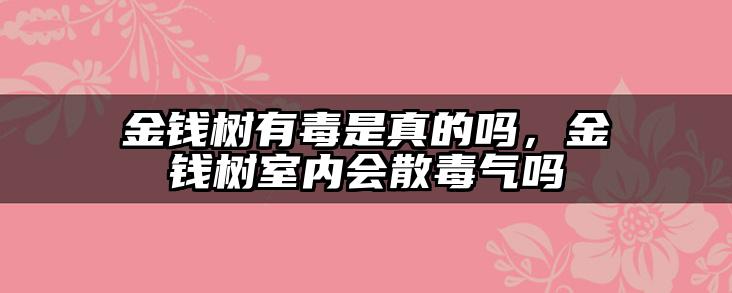 金钱树有毒是真的吗，金钱树室内会散毒气吗