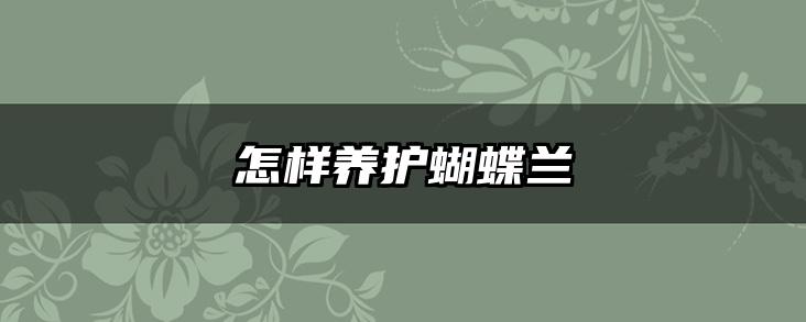 怎样养护蝴蝶兰