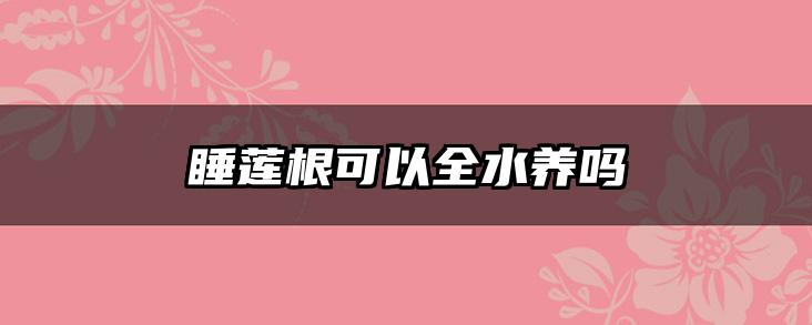 睡莲根可以全水养吗
