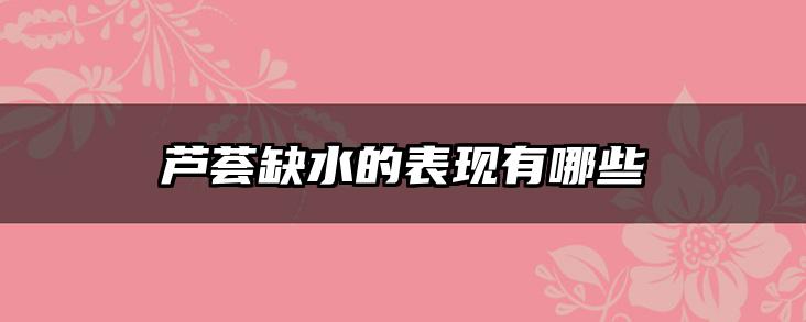芦荟缺水的表现有哪些