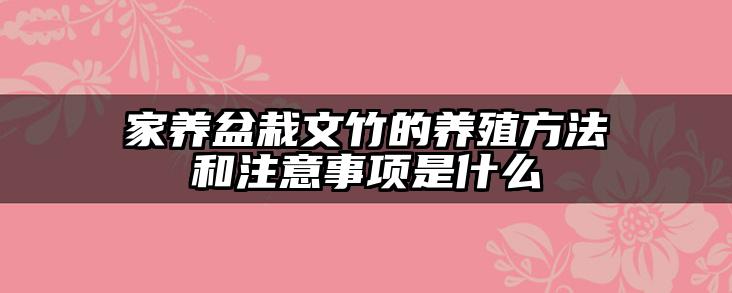 家养盆栽文竹的养殖方法和注意事项是什么