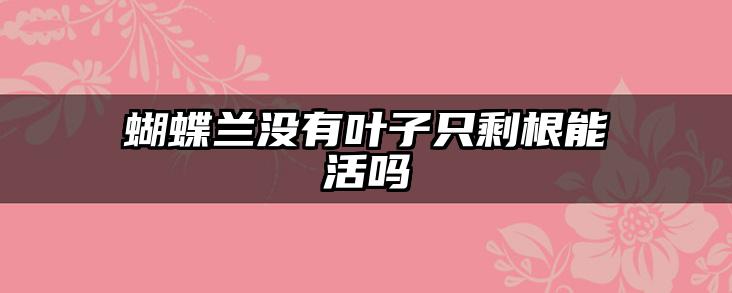 蝴蝶兰没有叶子只剩根能活吗