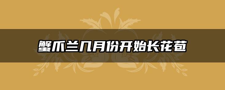 蟹爪兰几月份开始长花苞