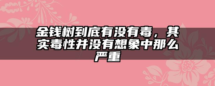 金钱树到底有没有毒,其实毒性并没有想象中那么严重