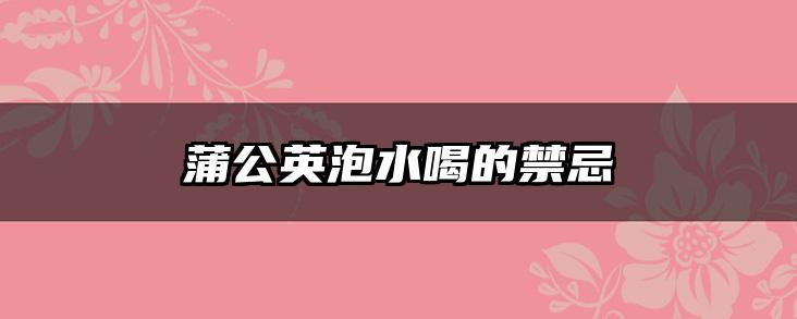 蒲公英泡水喝的禁忌