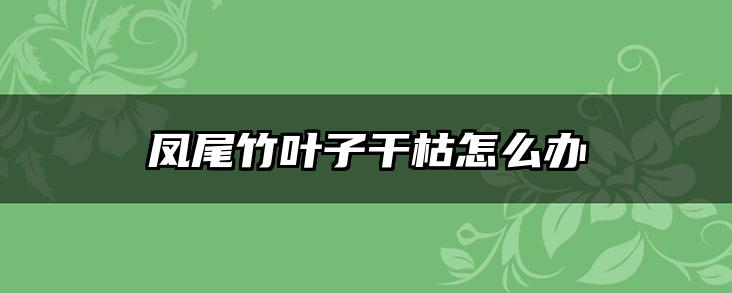 凤尾竹叶子干枯怎么办