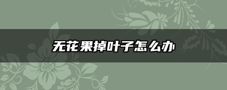 无花果掉叶子怎么办