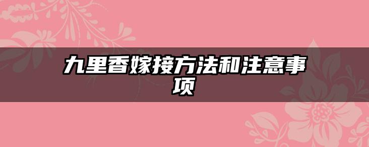 九里香嫁接方法和注意事项