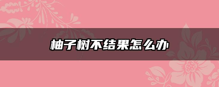 柚子树不结果怎么办