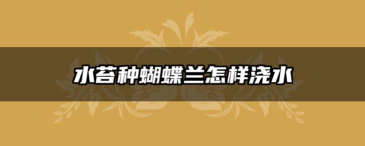 水苔种蝴蝶兰怎样浇水