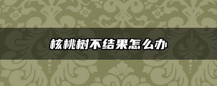 核桃树不结果怎么办