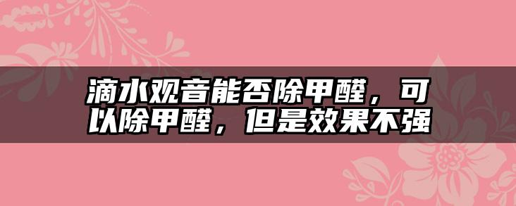 滴水观音能否除甲醛，可以除甲醛，但是效果不强