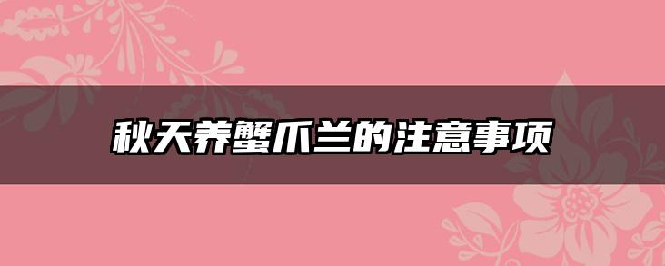 秋天养蟹爪兰的注意事项