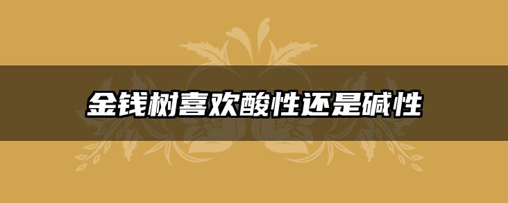 金钱树喜欢酸性还是碱性