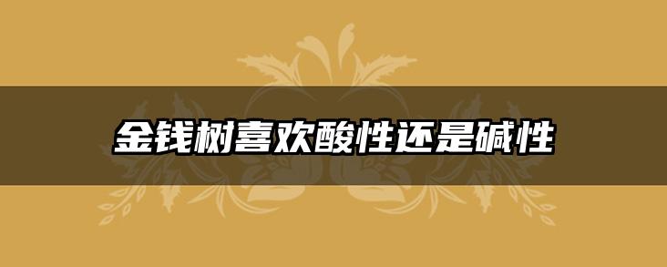 金钱树喜欢酸性还是碱性