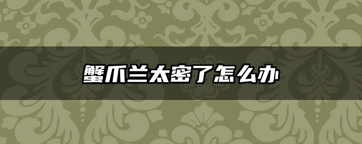 蟹爪兰太密了怎么办