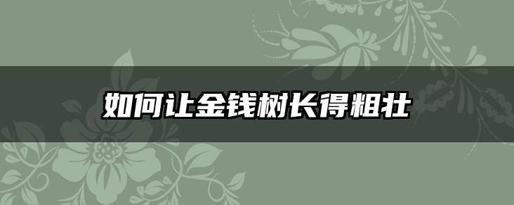 如何让金钱树长得粗壮