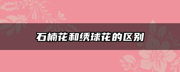石楠花和绣球花的区别