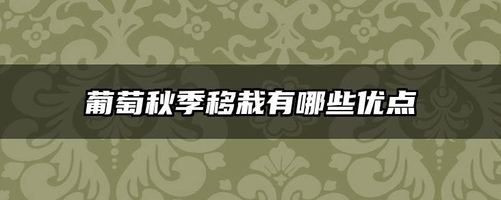 葡萄秋季移栽有哪些优点