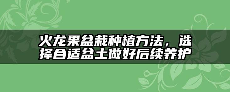 火龙果盆栽种植方法,选择合适盆土做好后续养护