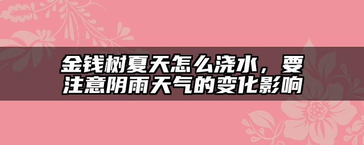 金钱树夏天怎么浇水，要注意阴雨天气的变化影响
