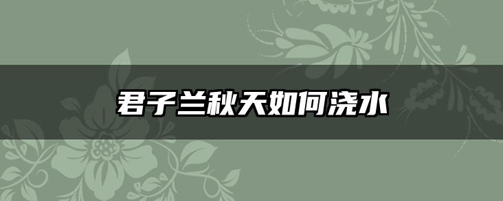 君子兰秋天如何浇水