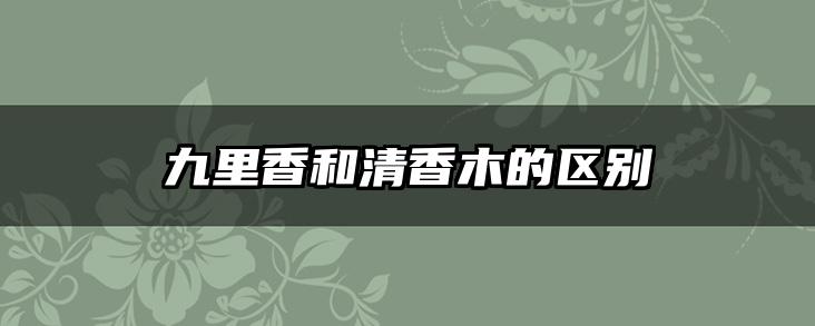 九里香和清香木的区别