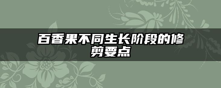 百香果不同生长阶段的修剪要点