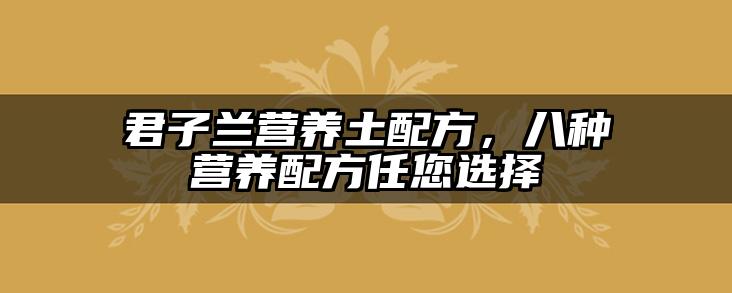 君子兰营养土配方，八种营养配方任您选择