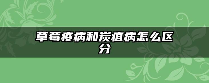草莓疫病和炭疽病怎么区分