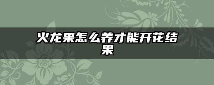 火龙果怎么养才能开花结果