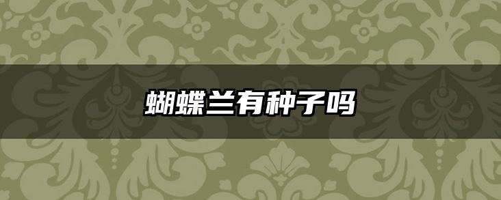 蝴蝶兰有种子吗