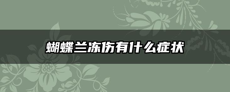 蝴蝶兰冻伤有什么症状