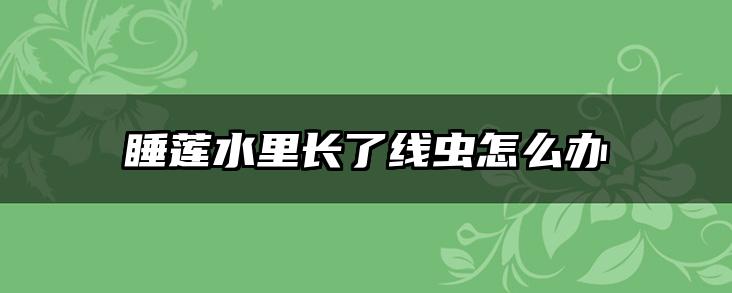 睡莲水里长了线虫怎么办