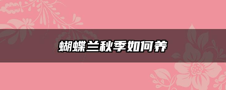 蝴蝶兰秋季如何养