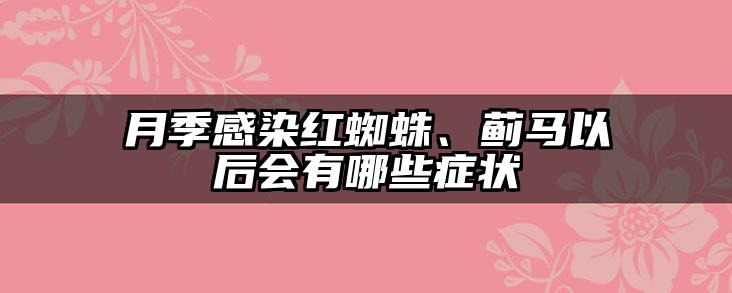 月季感染红蜘蛛、蓟马以后会有哪些症状