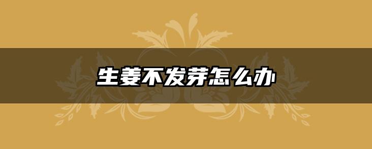 生姜不发芽怎么办