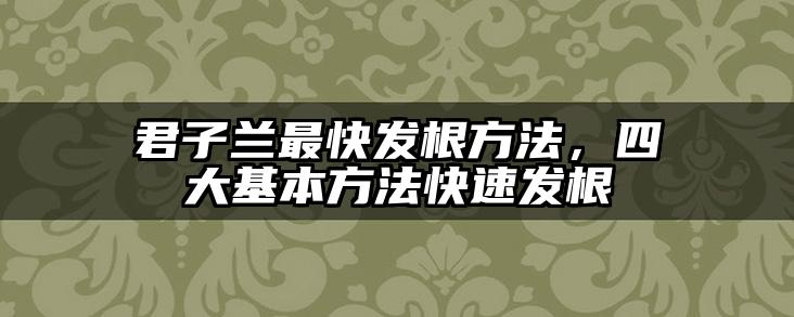 君子兰最快发根方法,四大基本方法快速发根