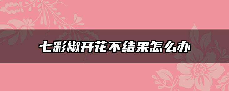 七彩椒开花不结果怎么办