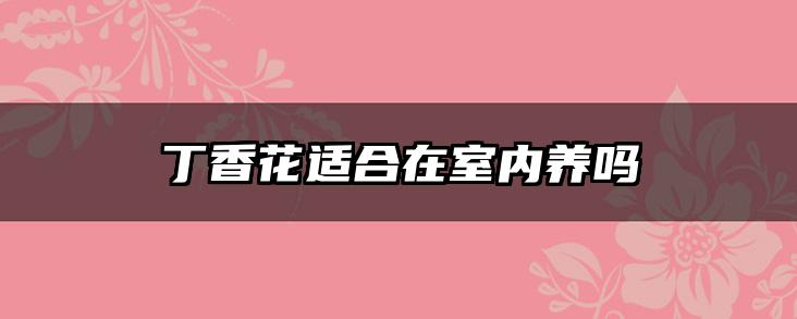 丁香花适合在室内养吗