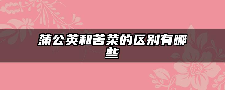 蒲公英和苦菜的区别有哪些