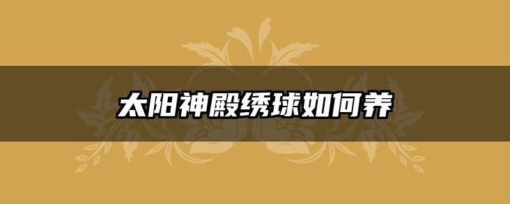太阳神殿绣球如何养