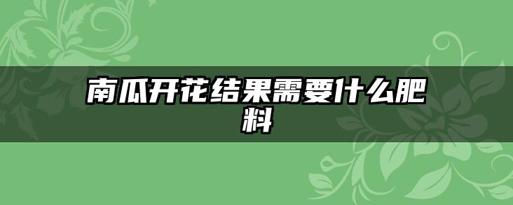 南瓜开花结果需要什么肥料