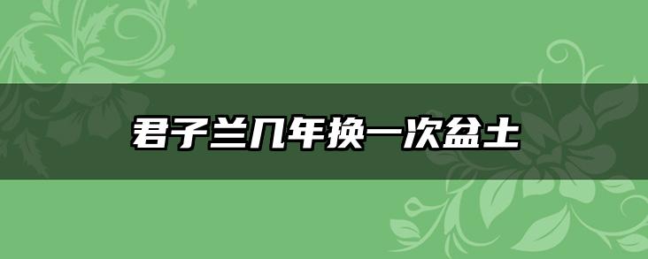 君子兰几年换一次盆土