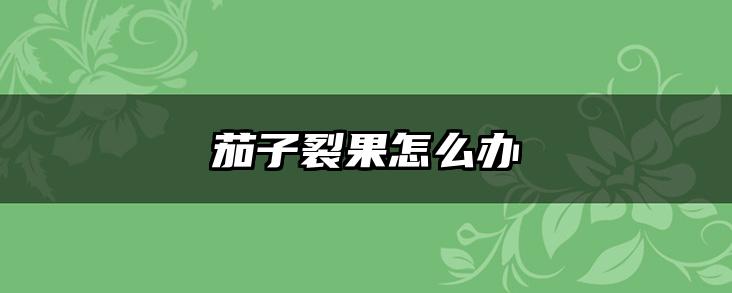 茄子裂果怎么办