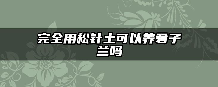 完全用松针土可以养君子兰吗