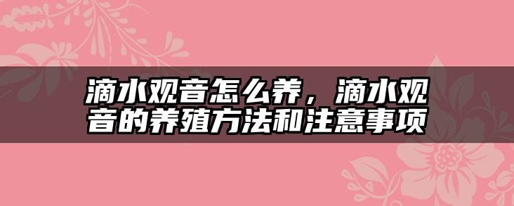 滴水观音怎么养,滴水观音的养殖方法和注意事项