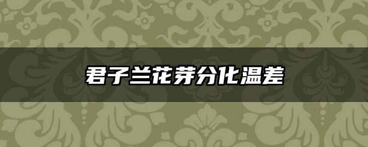 君子兰花芽分化温差
